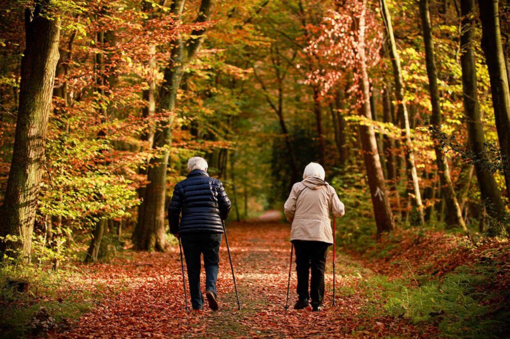 Dementia Alarming ratio on affecting Elders of USA, Let’s understand Better.