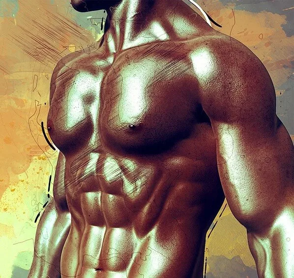 muscles gfce8f7db9 1280 1