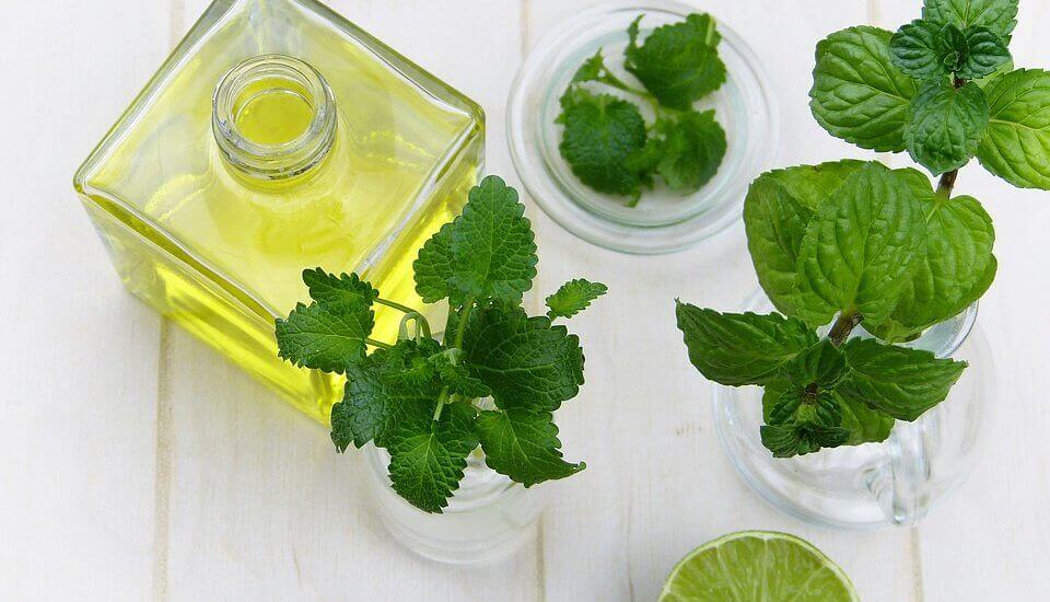 Keeper of Health? 14 Effective Health Benefits of Peppermint Oil.