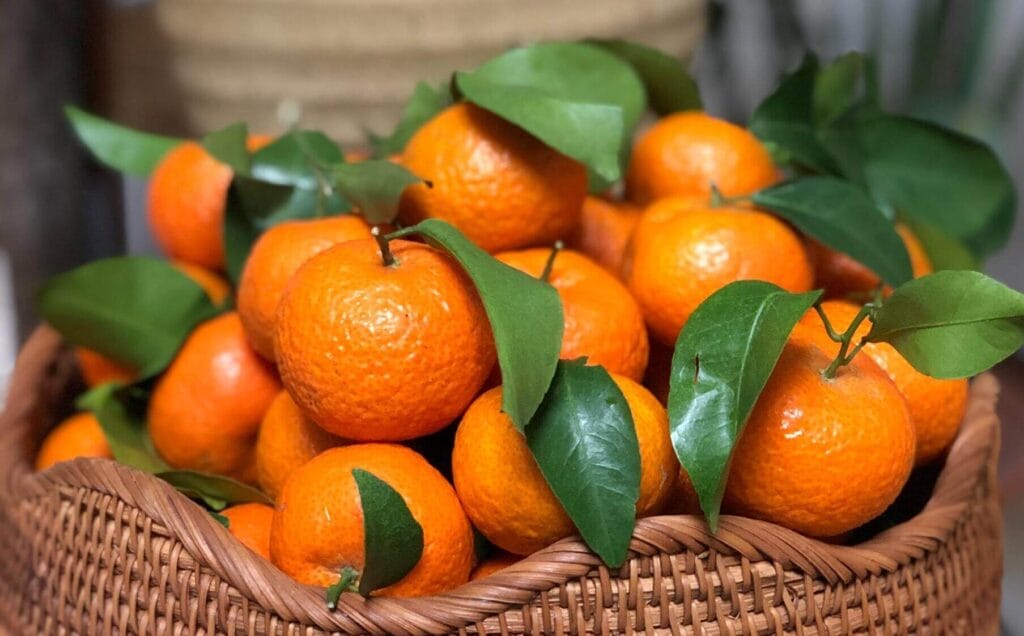 Health Benefits of Vitamin C