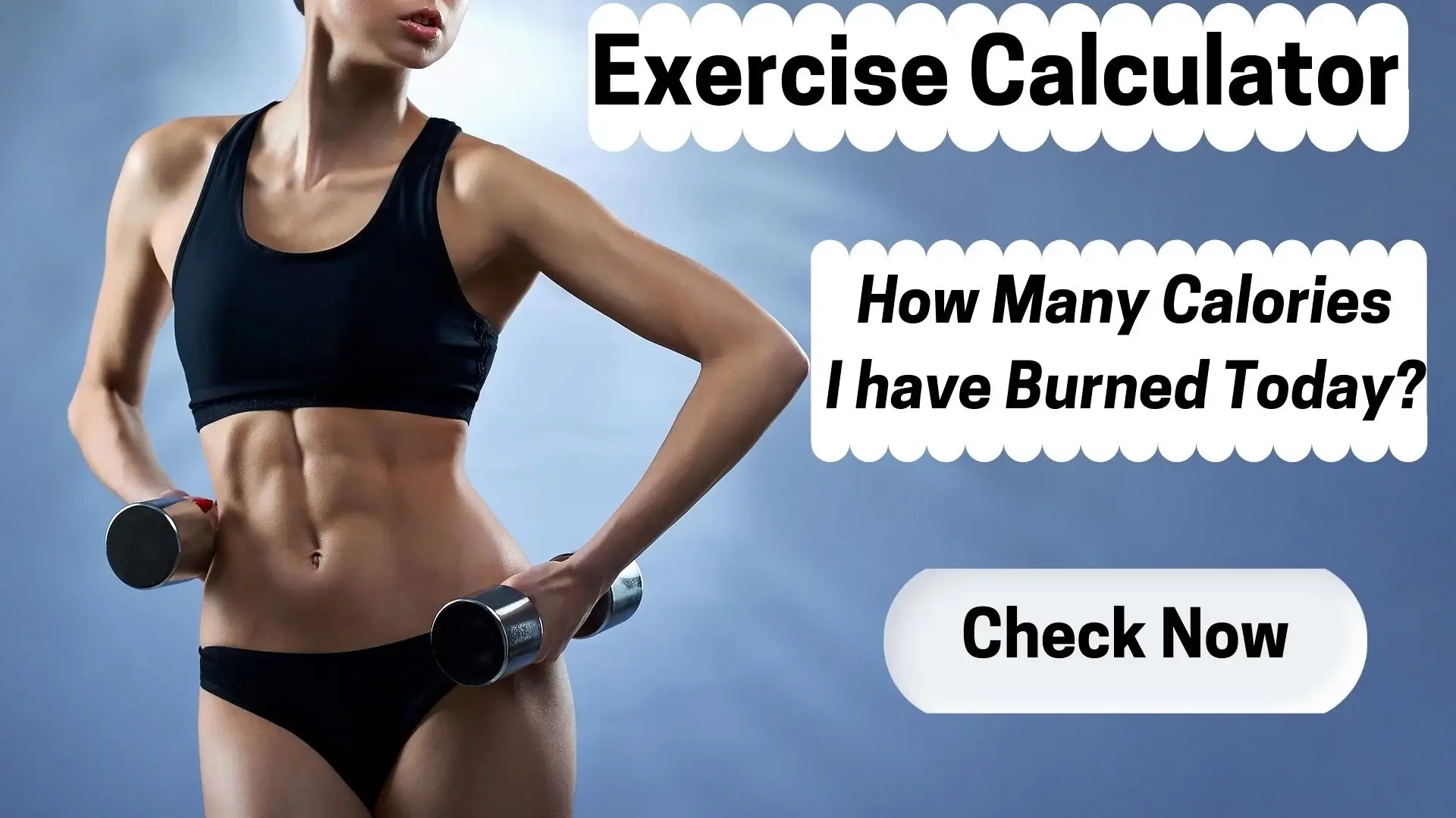Exercise Calculator