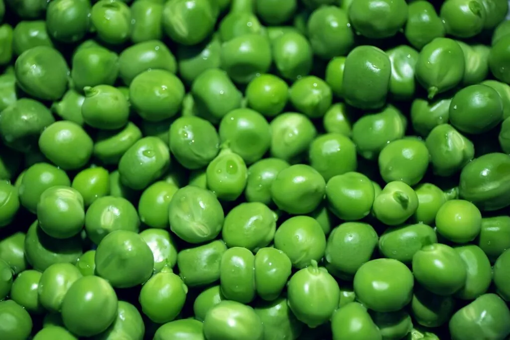 Green Peas