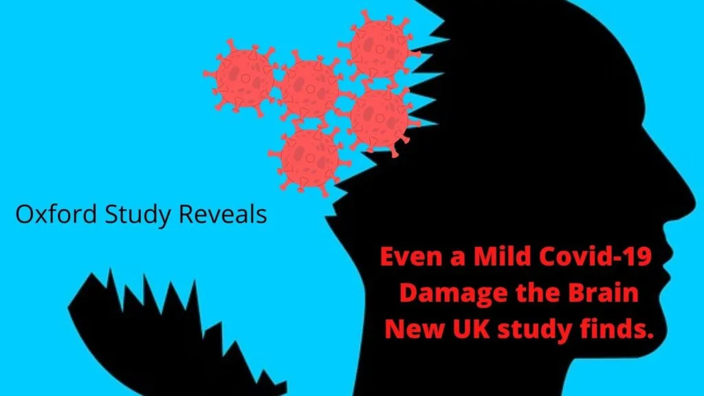 covid-19 infection damage the brain