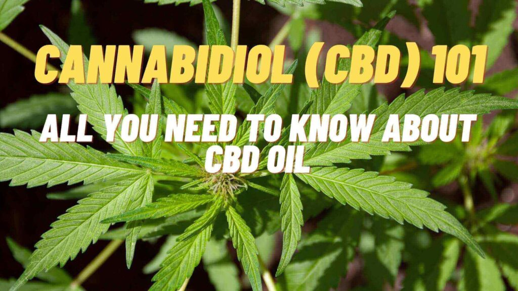 Cannabidiol (CBD) 101: All you need to know about CBD oil.
