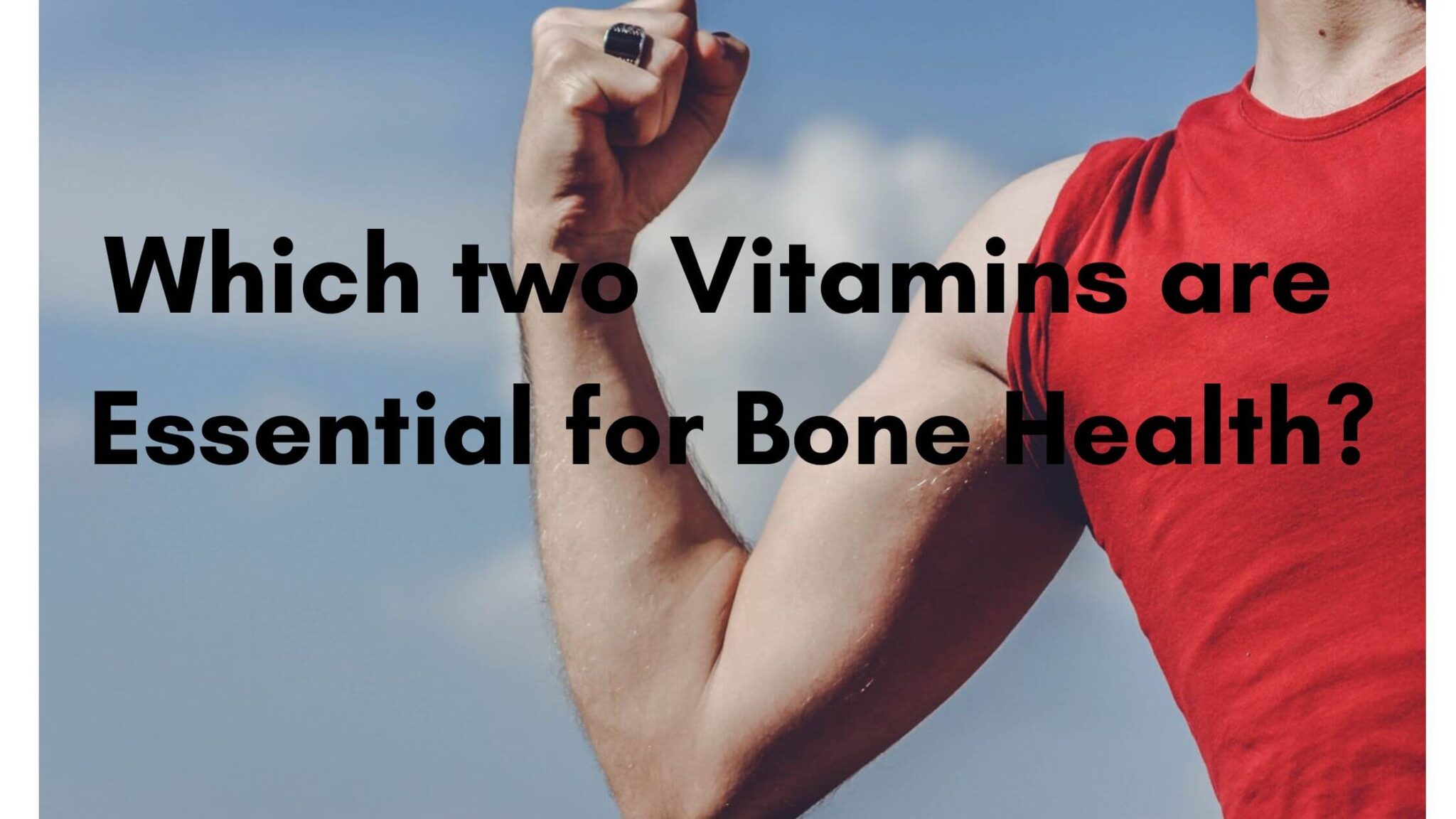Foods that increase bone density