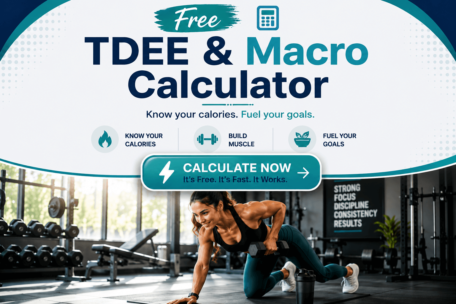 Free TDEE & Macro Calculator