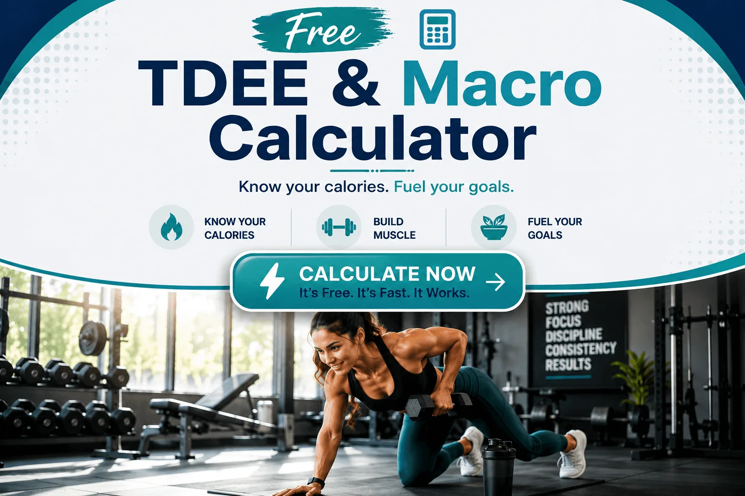 Free TDEE & Macro Calculator